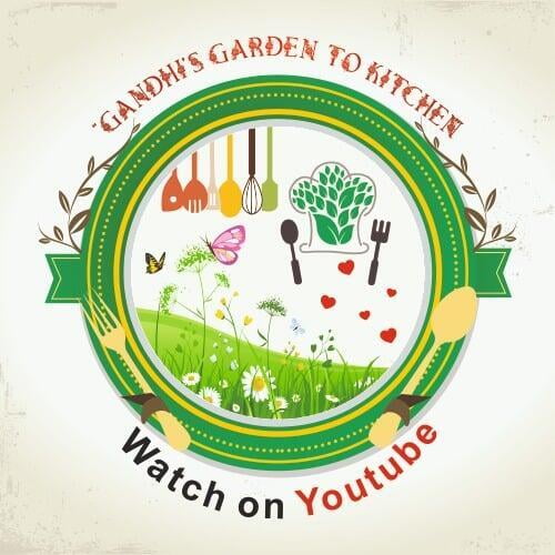 Gandhi’s Garden To Kitchen